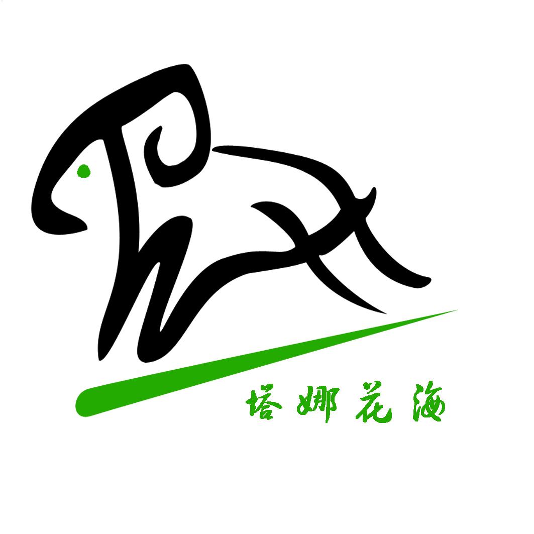  em>塔娜 /em> em>花海 /em>