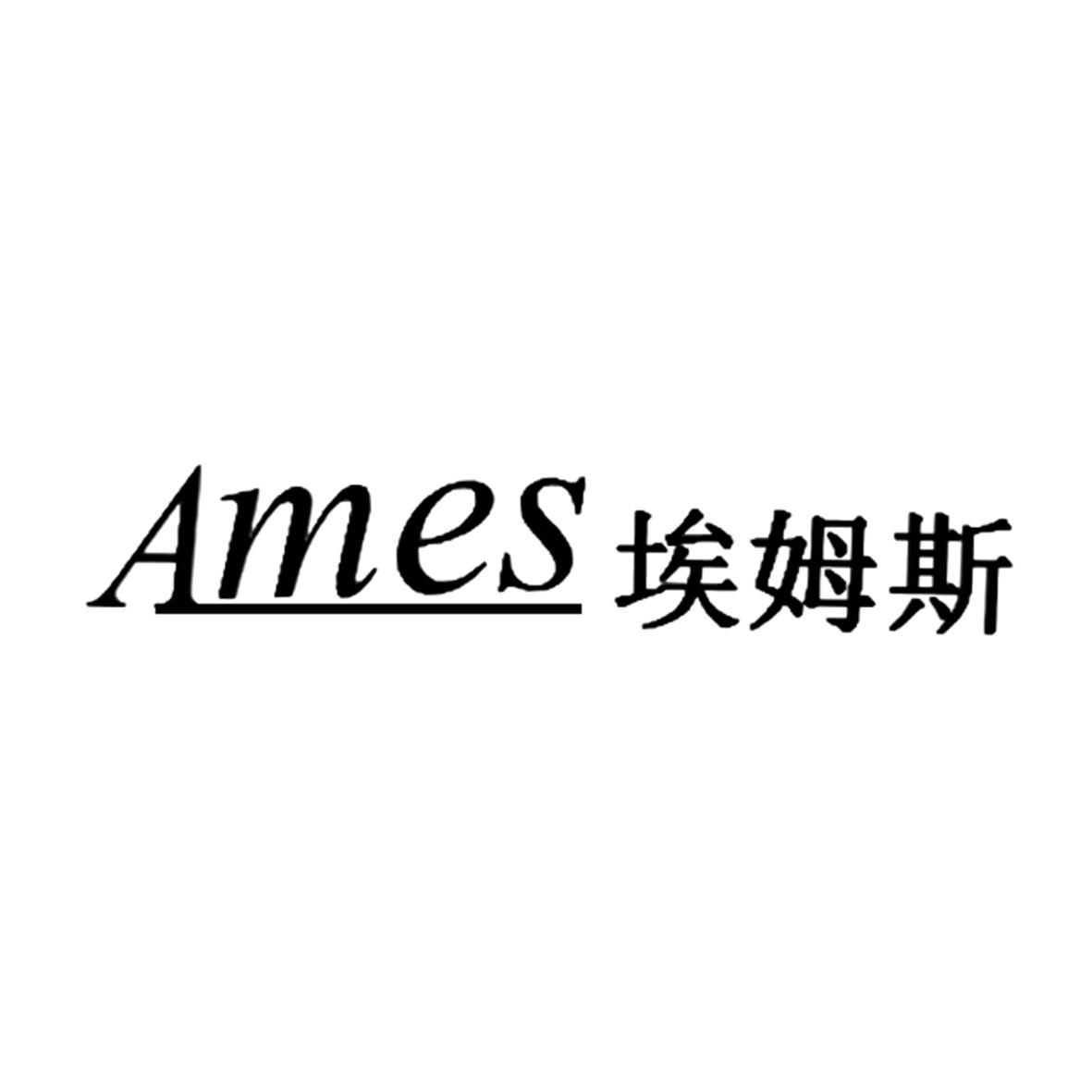 em>埃姆斯/em em>ames/em>