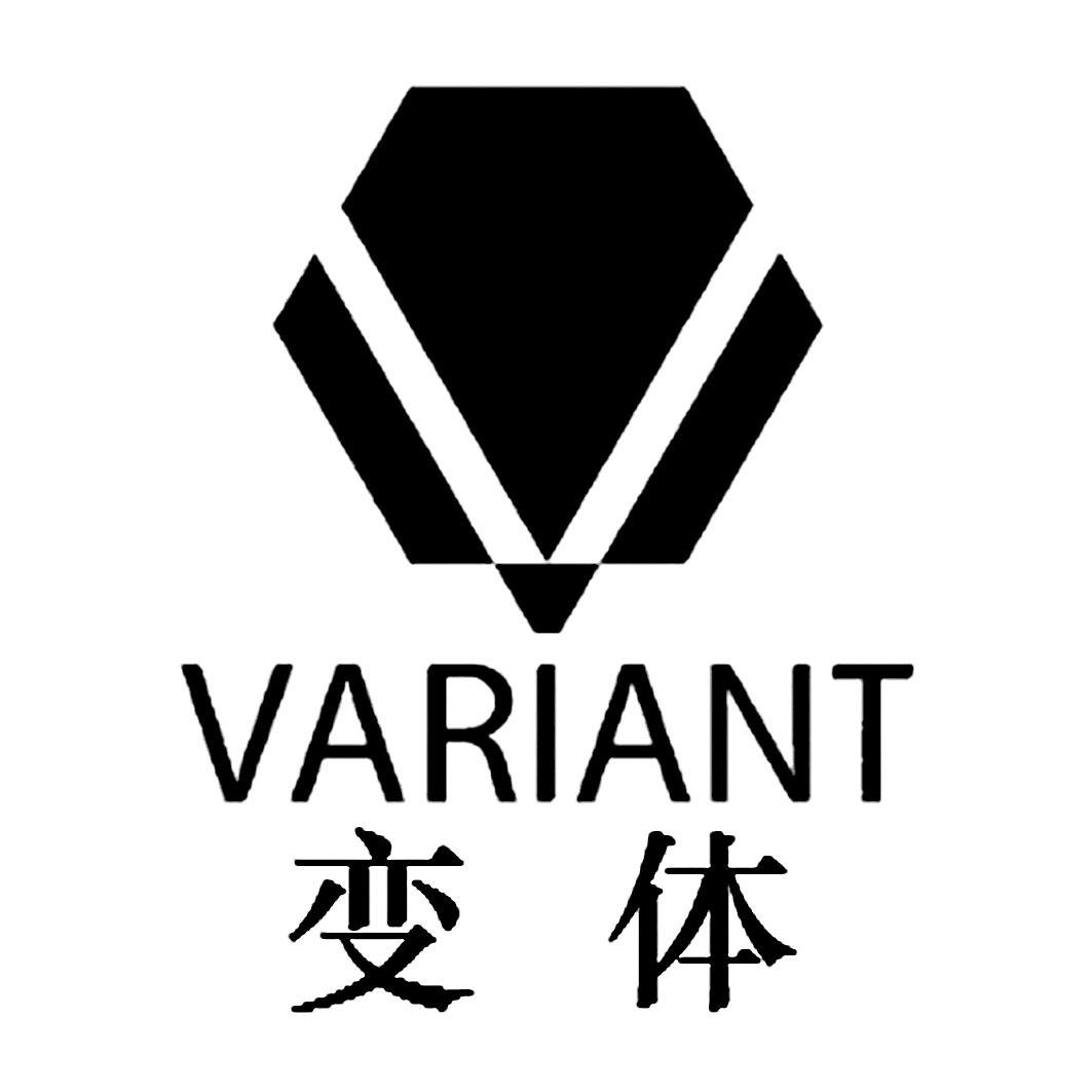  em>v /em>  em>variant /em>  em>变体 /em>