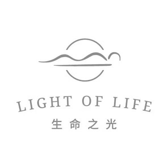 生命之光