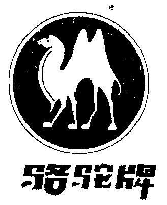 骆驼