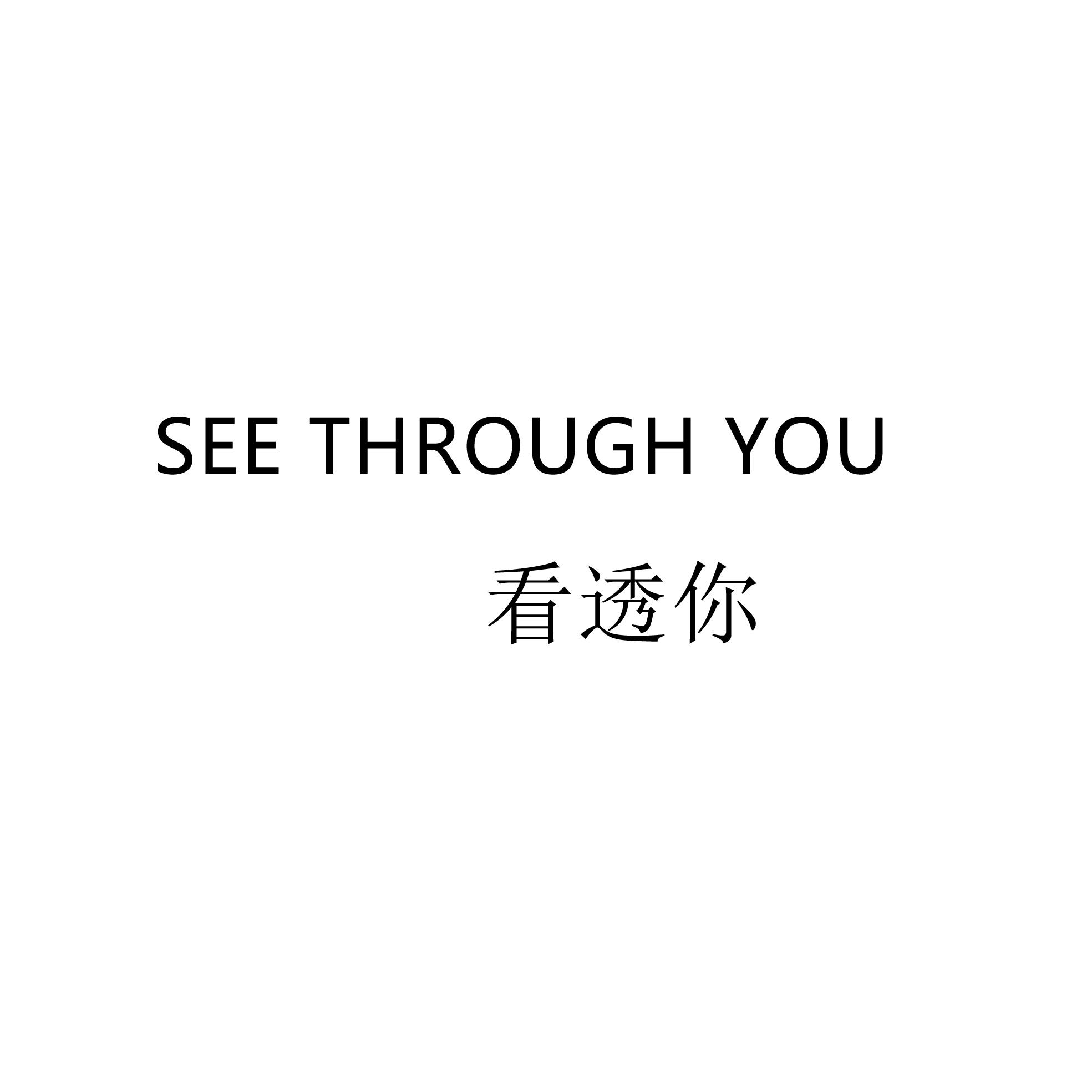 看透你 em>see/em em>through/em em>you/em>