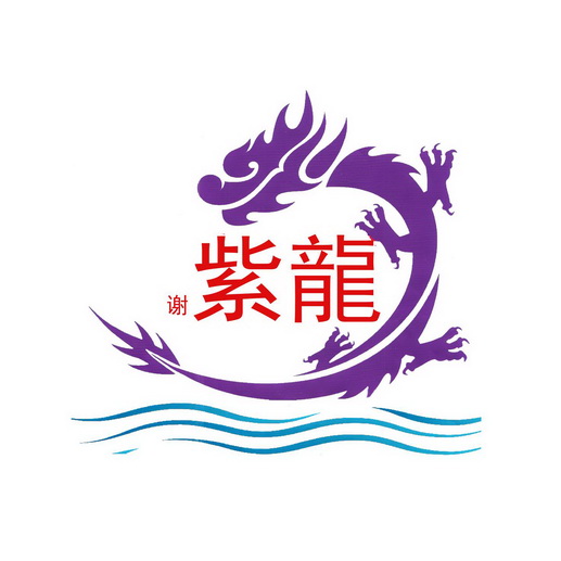 紫龙游戏logo图片