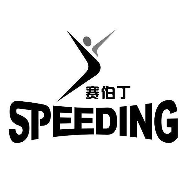 赛伯丁  em>speeding /em>