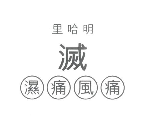  em>里哈明 /em>灭湿痛风痛