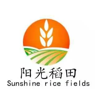  em>阳光 /em> em>稻田 /em>