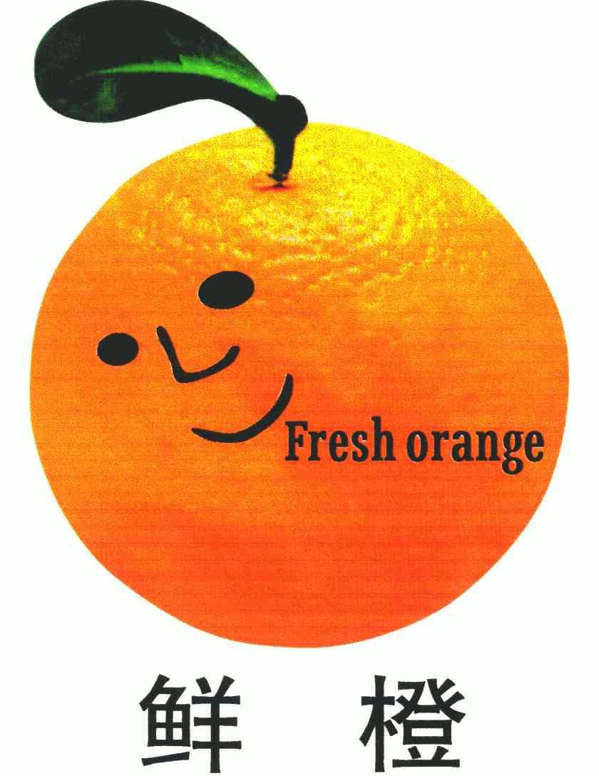  em>鲜橙 /em>; em>freshorange /em>