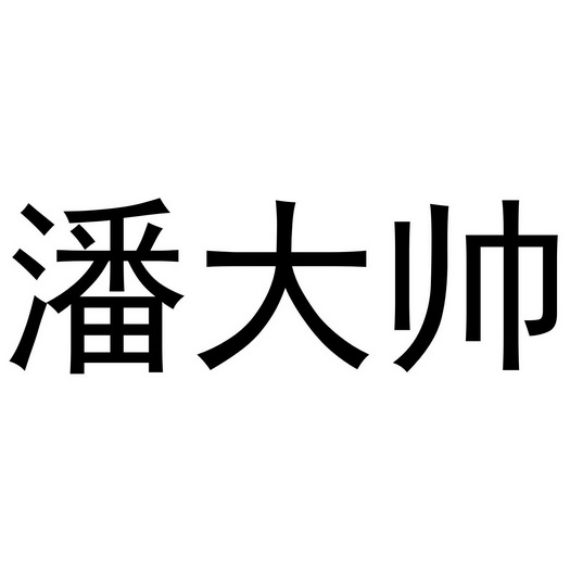  em>潘大帅 /em>