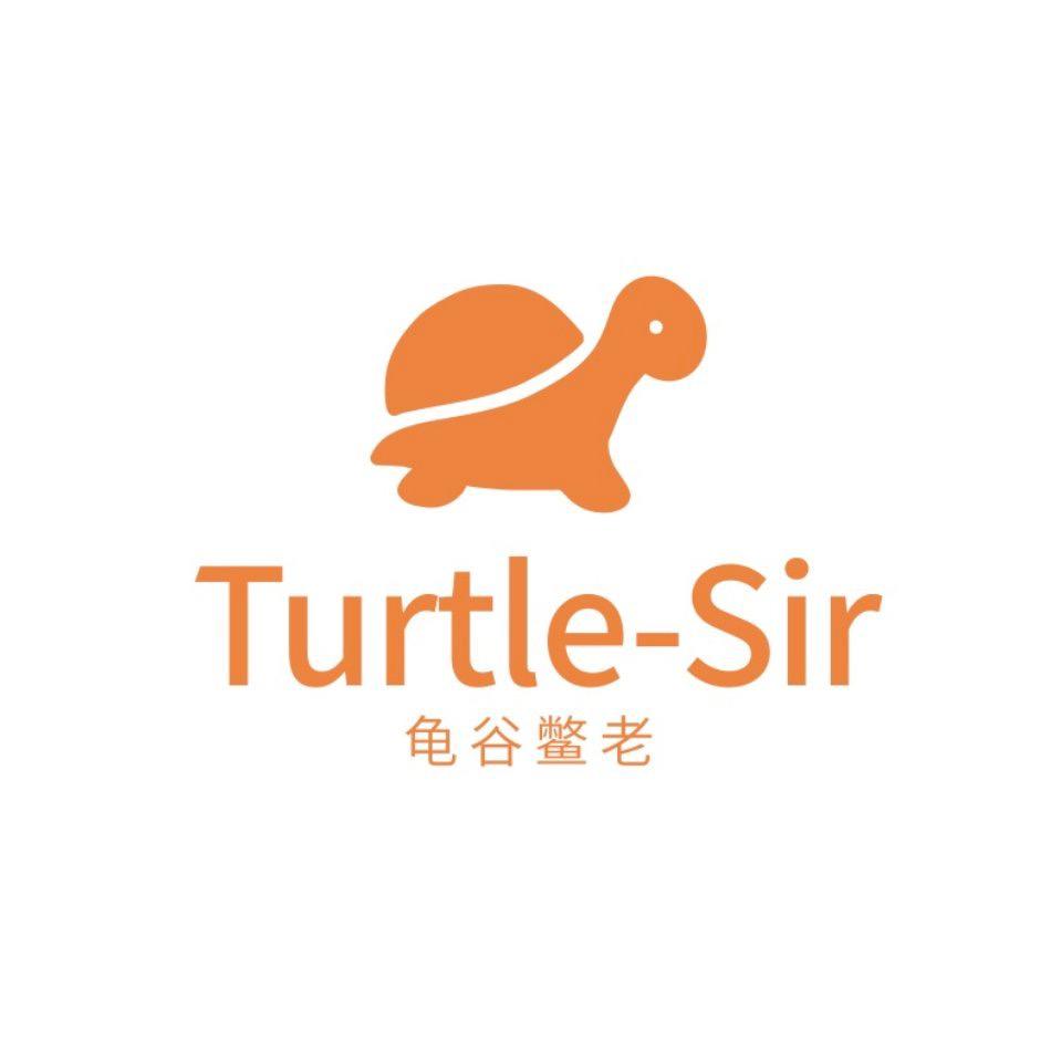 turtle- em>sir /em> 龟谷鳖老