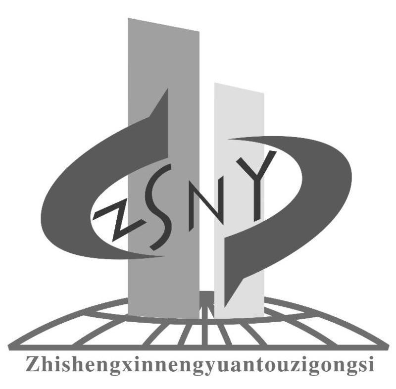  em>zs /em> em>ny /em>zhishengxinnengyuantouzigongsi