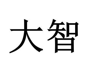大智