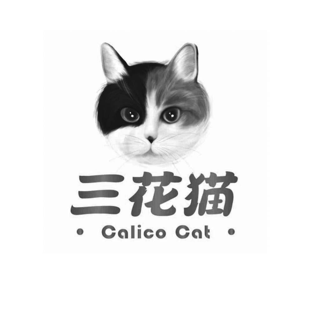 三花猫 calico cat