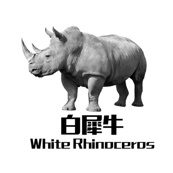  em>白犀牛 /em>  em>white /em>  em>rhinoceros /em>