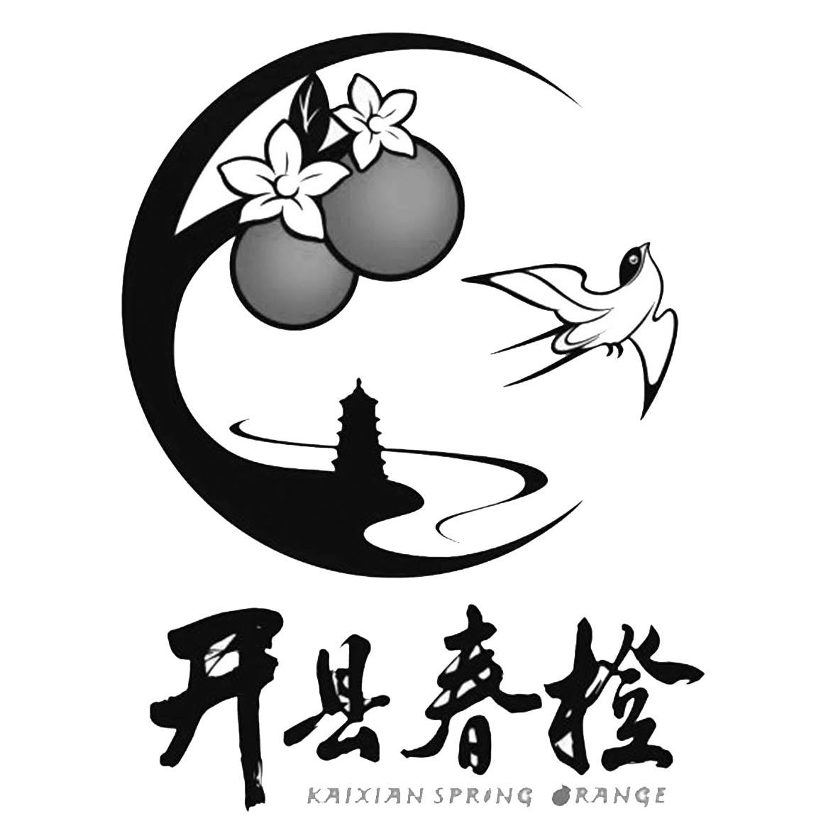 开县春橙 kaixian  em>spring /em>  em>orange /em>