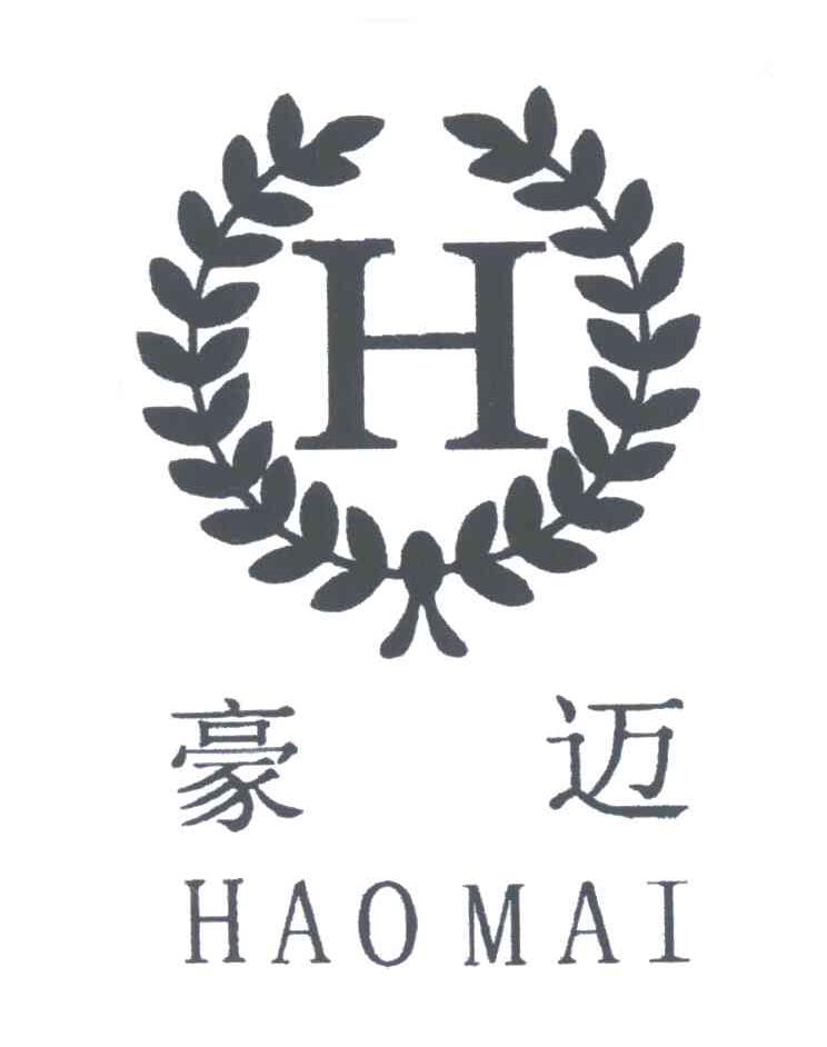 豪迈; em>h /em>