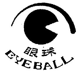 眼球 em>eyeball /em>