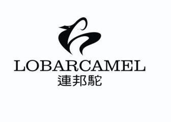  em>连邦 /em> em>驼 /em>  em>lobar /em> em>camel /em>