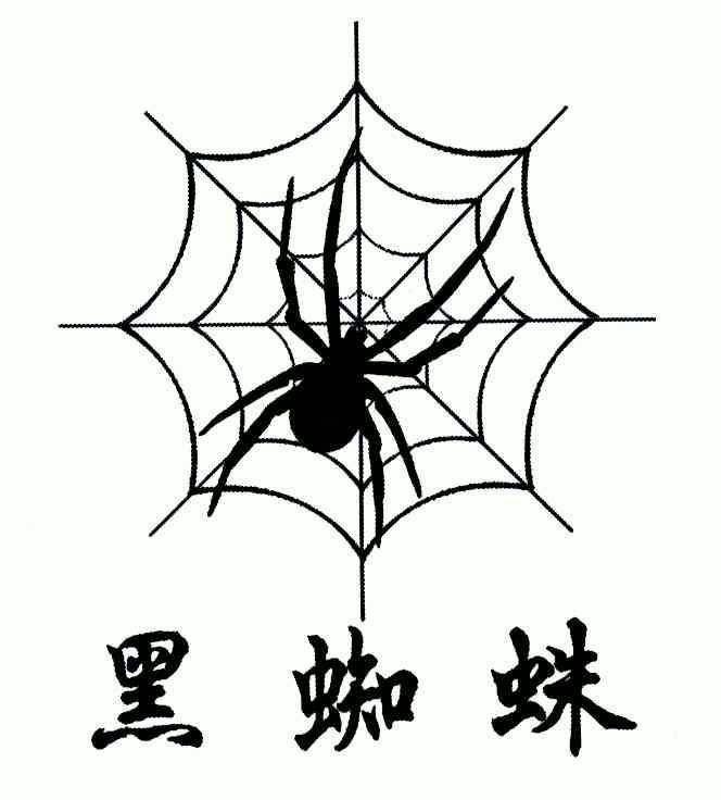 黑蜘蛛