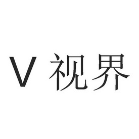 v视界
