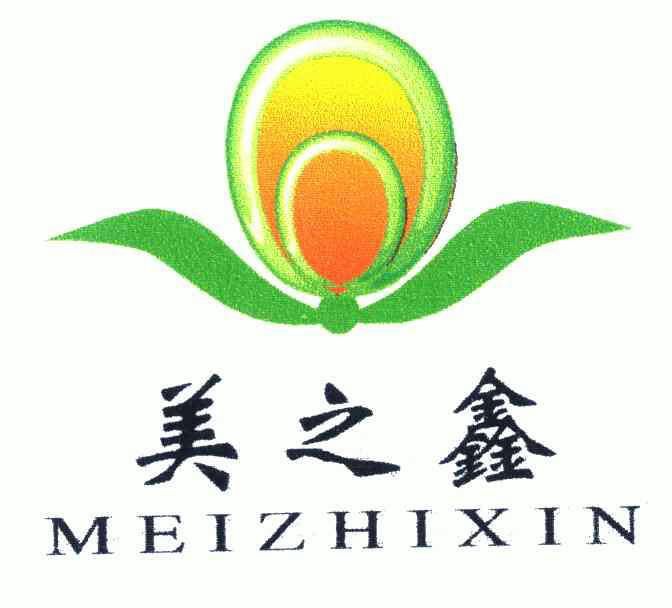 em>美之鑫/em>