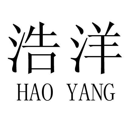  em>浩洋 /em>