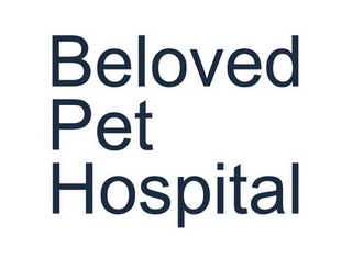  em>beloved /em> em>pet /em> hospital