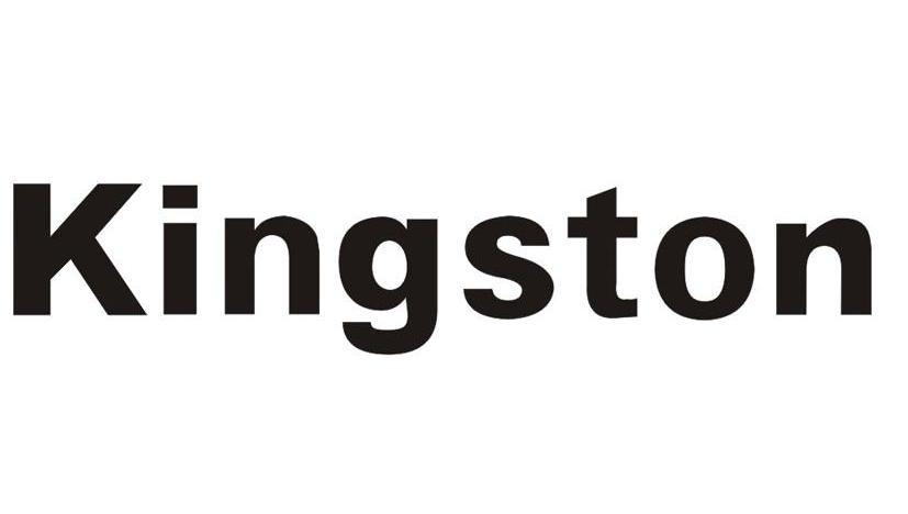 kingstonlogo图片