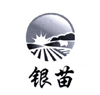  em>银 /em> em>苗 /em>