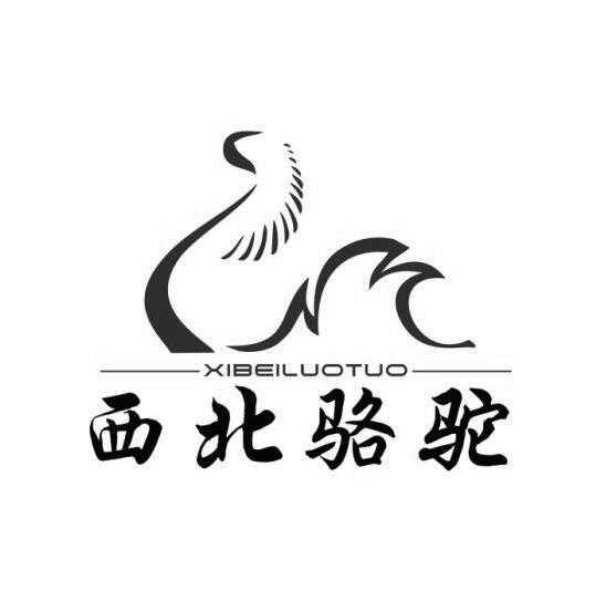  em>西北 /em> em>骆驼 /em>