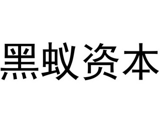 黑蚁资本