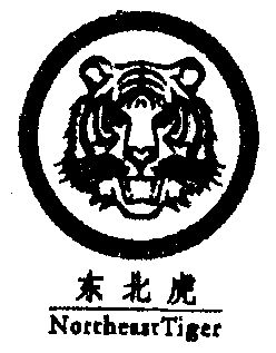 东北虎;northeast tiger                    
