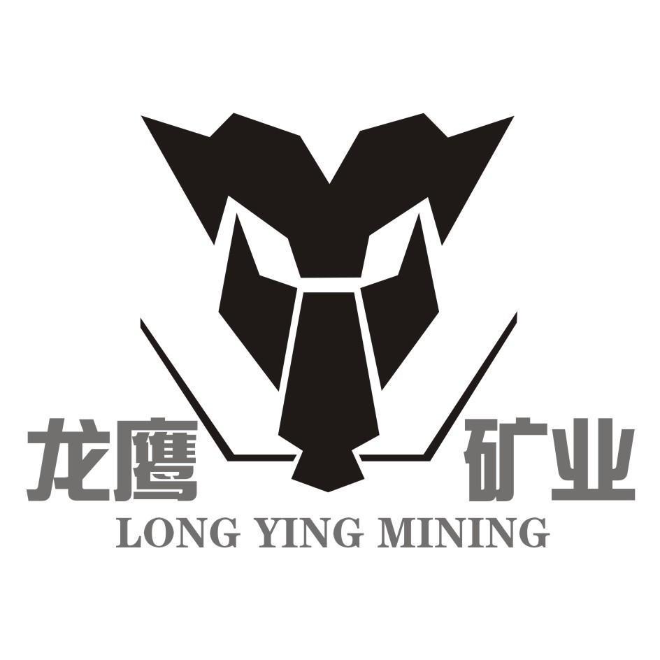 em>龙鹰 /em> em>矿业 /em> em>longying /em> em>mining /em>