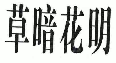 草暗花明 - 商标 - 爱企查