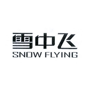 雪中飞 snow flying                        