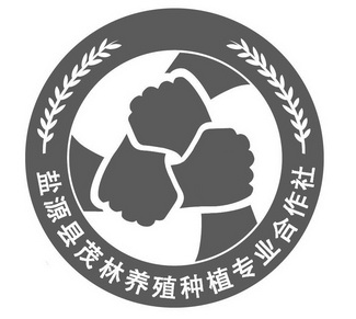 盐源县茂林养殖种植专业合作社 - 商标 - 爱企查