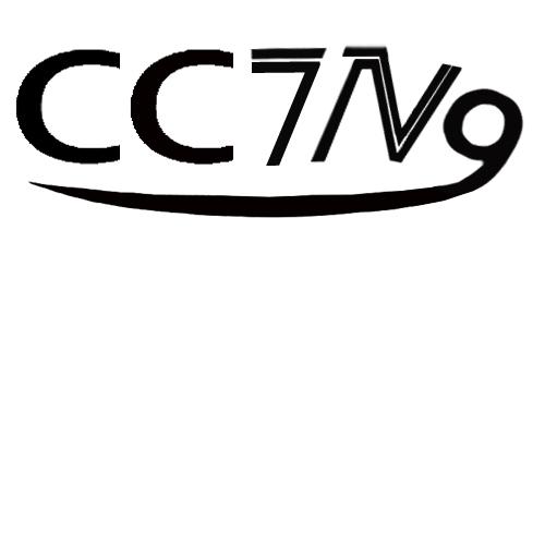 cctv 9