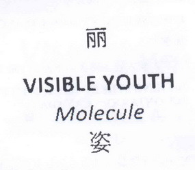 visibleyouth_企业商标大全_商标信息查询_爱企查