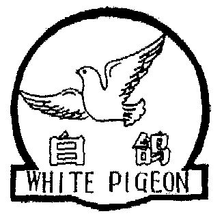 白鸽 em>white /em>  em>pigeon /em>