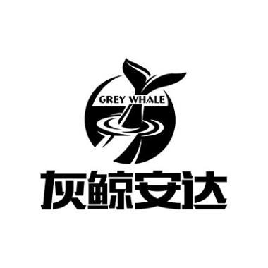 灰鲸安达  em>grey /em>  em>whale /em>