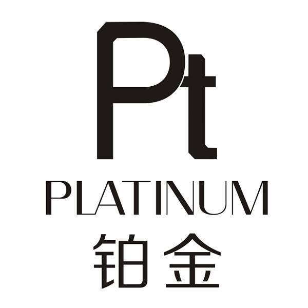  em>pt /em> 铂金  em>platinum /em>