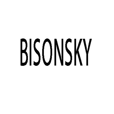 bisonsky等待实质审查