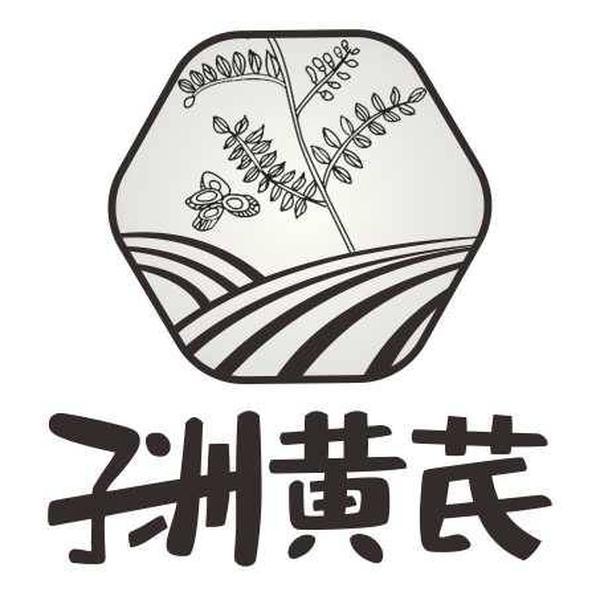 子洲黄芪                                  
