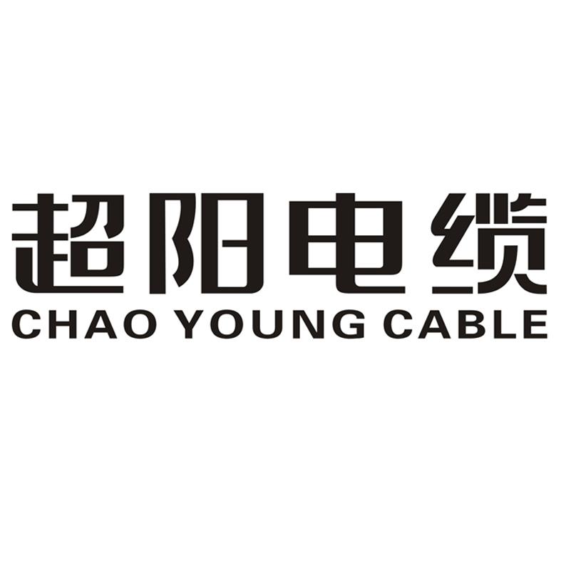 超阳电缆 em>chao/em em>young/em cable