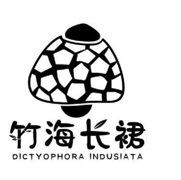  em>竹海 /em> em>长裙 /em>