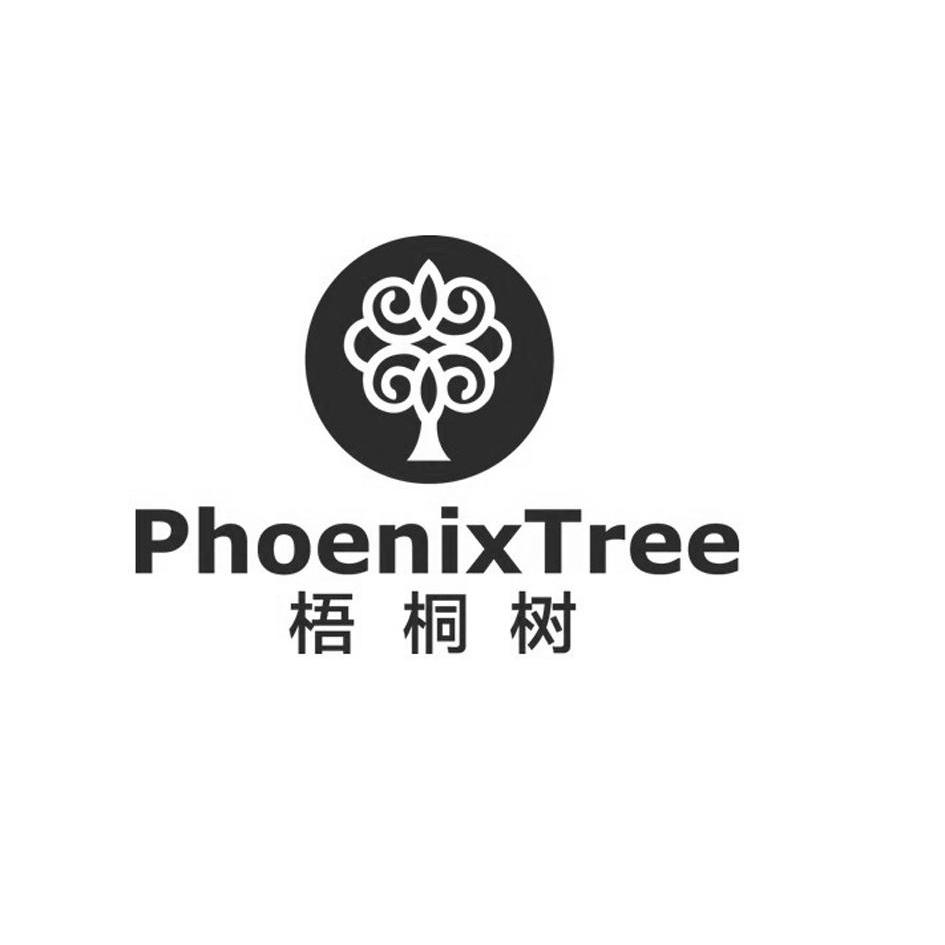  em>梧桐树 /em>  em>phoenix /em> em>tree /em>