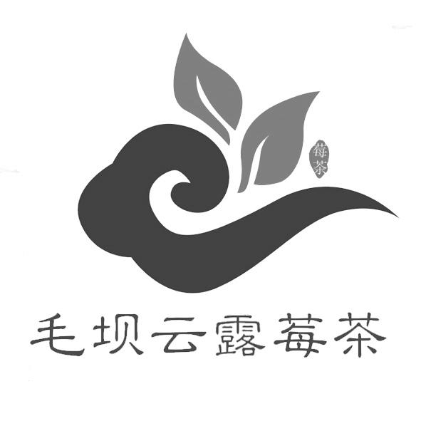 毛坝云露莓茶 莓茶                         