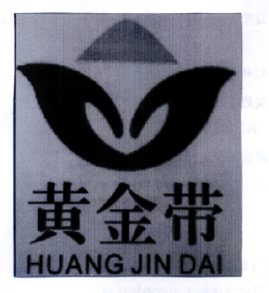  em>黄金带 /em>