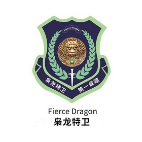枭龙特卫枭龙特卫 em>第一 /em> em>保镖 /em>