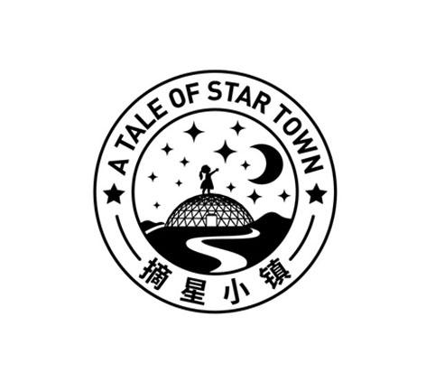 摘星小镇 a tale of star town