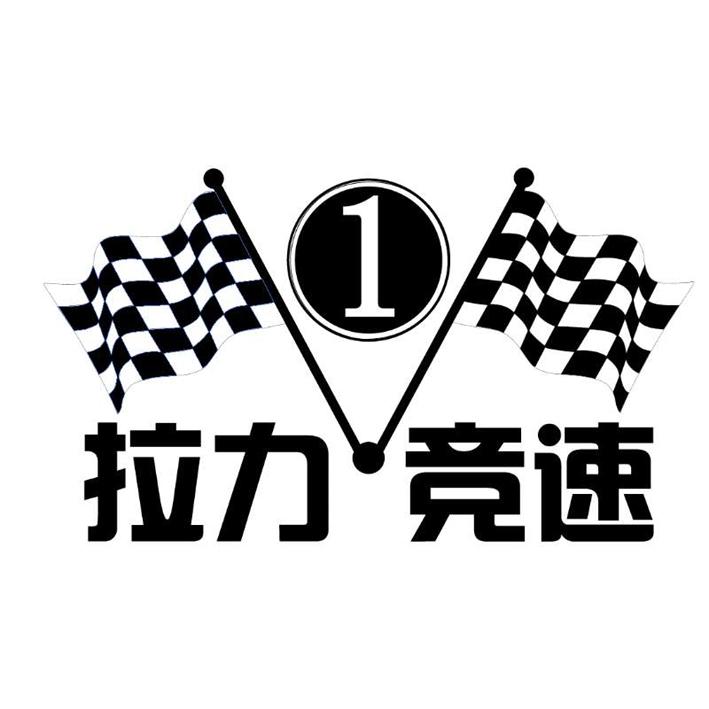 拉力竞速 1